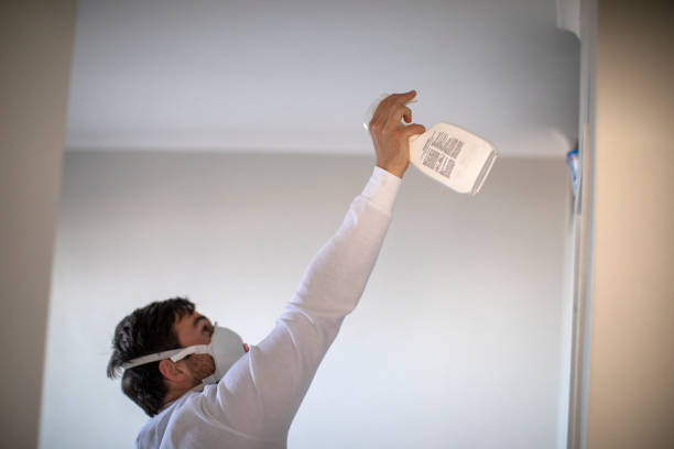 Best Health and Safety Mold Remediation in Alorton, IL
