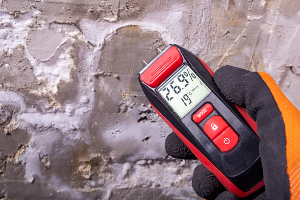 Best Residential Mold Remediation in Alorton, IL